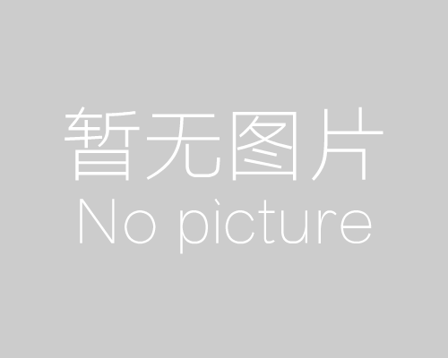 ZJYS81R5-2PL51T-G01